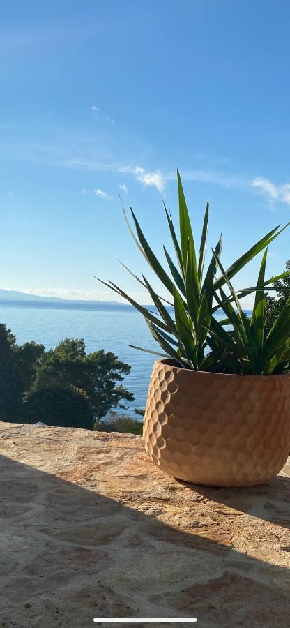 Apartma Casa Fortuna *